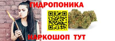 сатива Бузулук