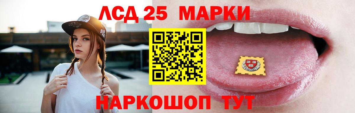 Галлюциногенные грибы Сальск