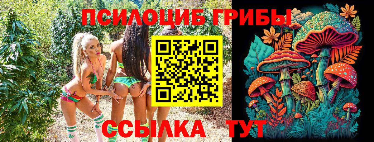 Галлюциногенные грибы мухоморы  Галлюциногенные грибы Psilocybe  Вход с VPN  Сальск 